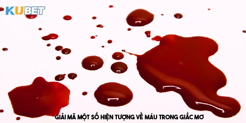 giai-ma-hien-tuong-trong-giac-mo-thay-mau