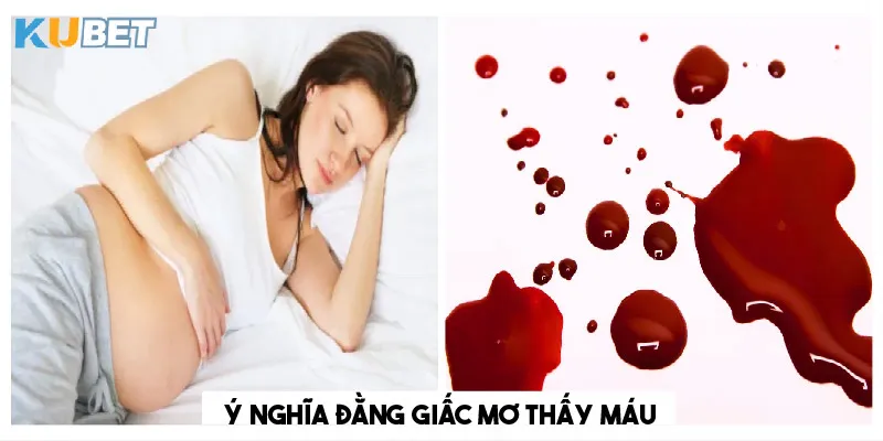 y-nghia-cua-giac-mo-thay-mau
